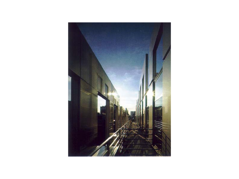 ms03.jpg